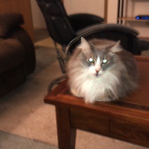 Meet your Posher, Tammy